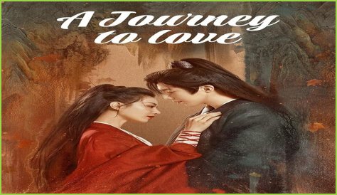 A Journey Of Love, Support, And Creative Endeavors